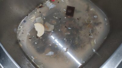 Garbage Disposal Repair